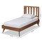 Baxton Studio Michi Modern and Contemporary Ash Walnut Finished Wood Twin Size Bed 186-11100-11159-Zoro - alternate 7